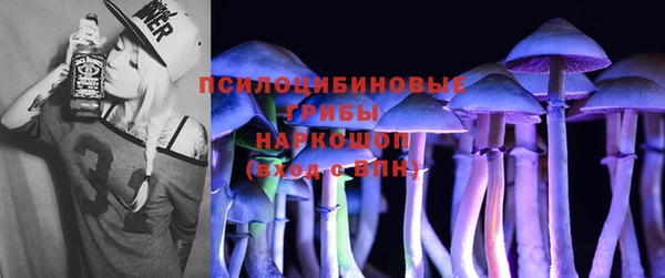 шишки Михайловск