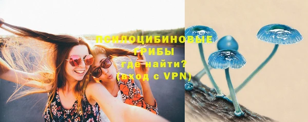 спайс Михайлов