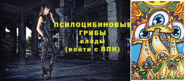 спайс Михайлов