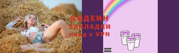 шишки Михайловск
