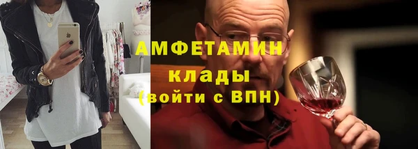 шишки Михайловск