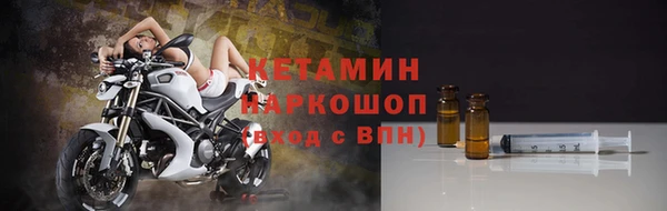 шишки Михайловск
