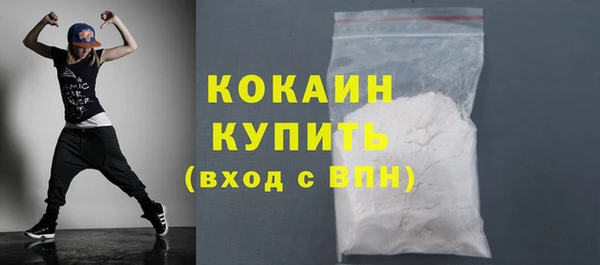 шишки Михайловск