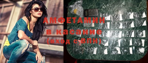 шишки Михайловск