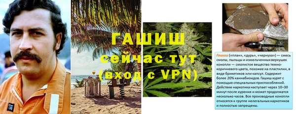 шишки Михайловск
