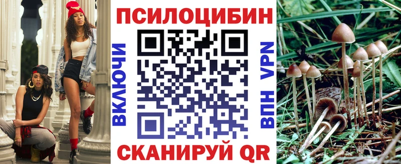 купить закладку  Магнитогорск  Галлюциногенные грибы MAGIC MUSHROOMS 